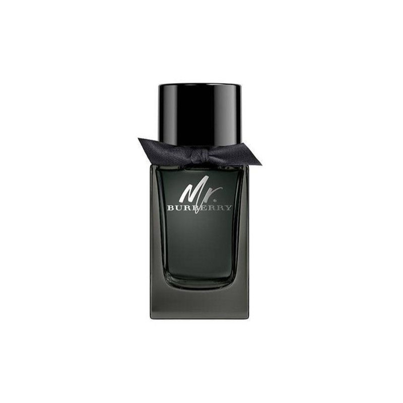 MR. BURBERRY 100ML POUR HOMME